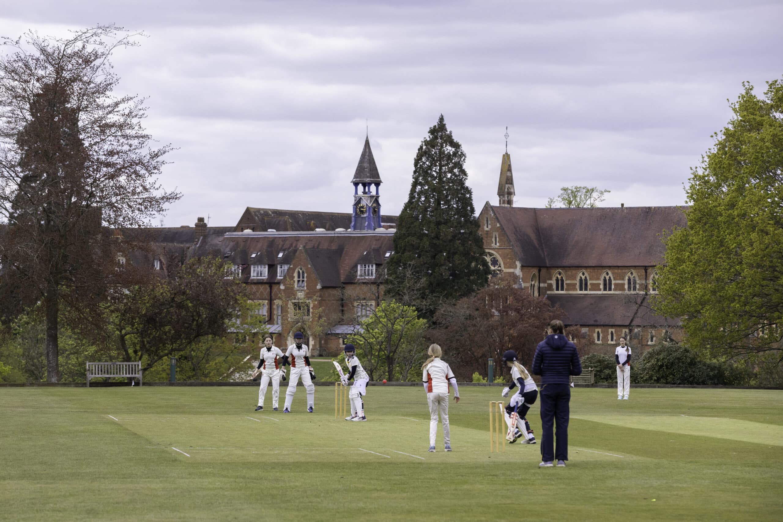 Cricket