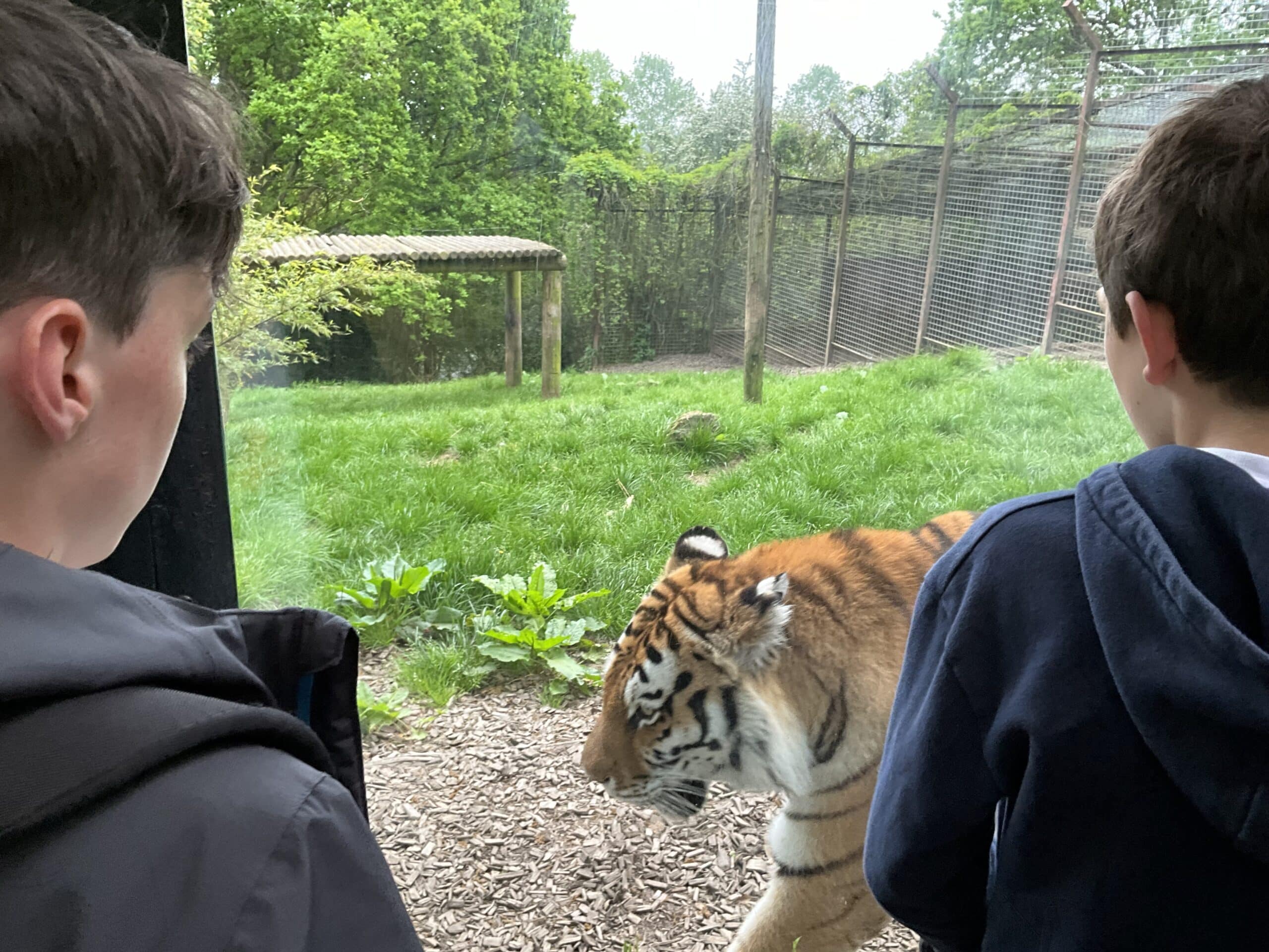 Zoo Visit