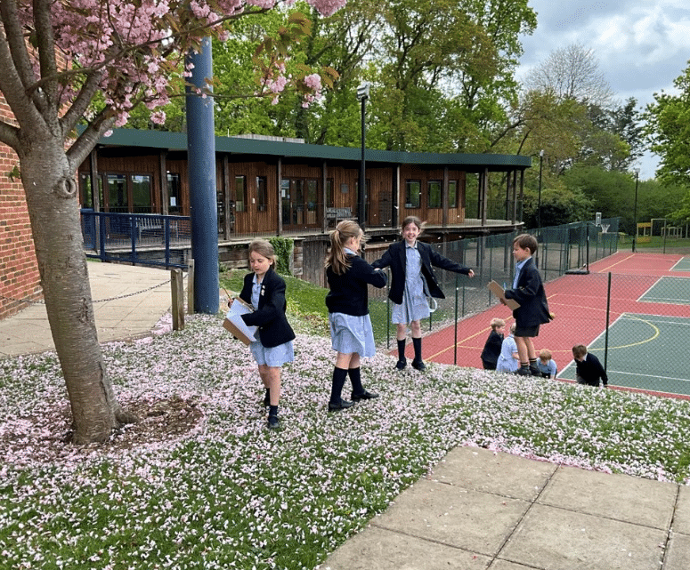 A Spring Poem from Form 1